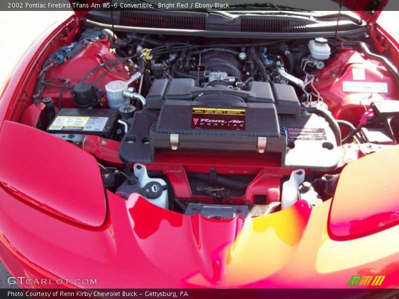 Bright Red / Ebony Black 2002 Pontiac Firebird Trans Am WS-6 Convertible