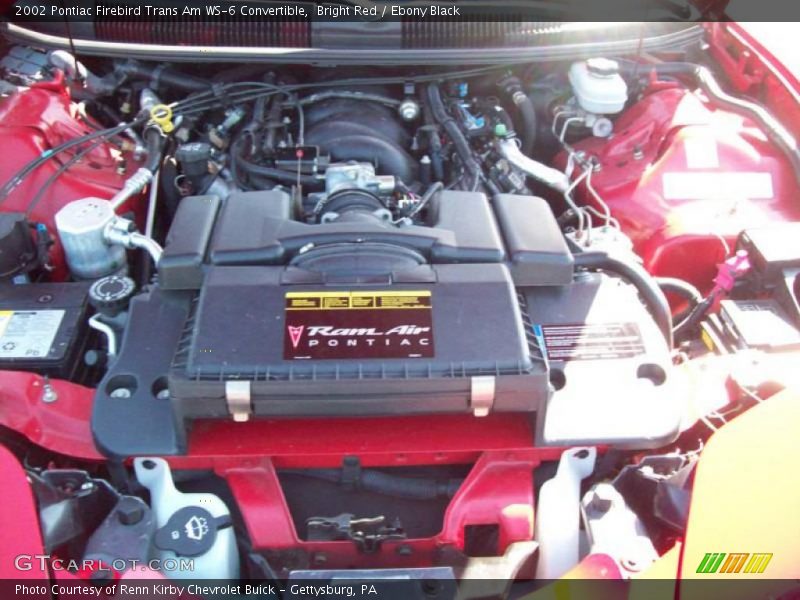 Bright Red / Ebony Black 2002 Pontiac Firebird Trans Am WS-6 Convertible
