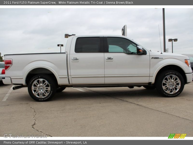 White Platinum Metallic Tri-Coat / Sienna Brown/Black 2011 Ford F150 Platinum SuperCrew