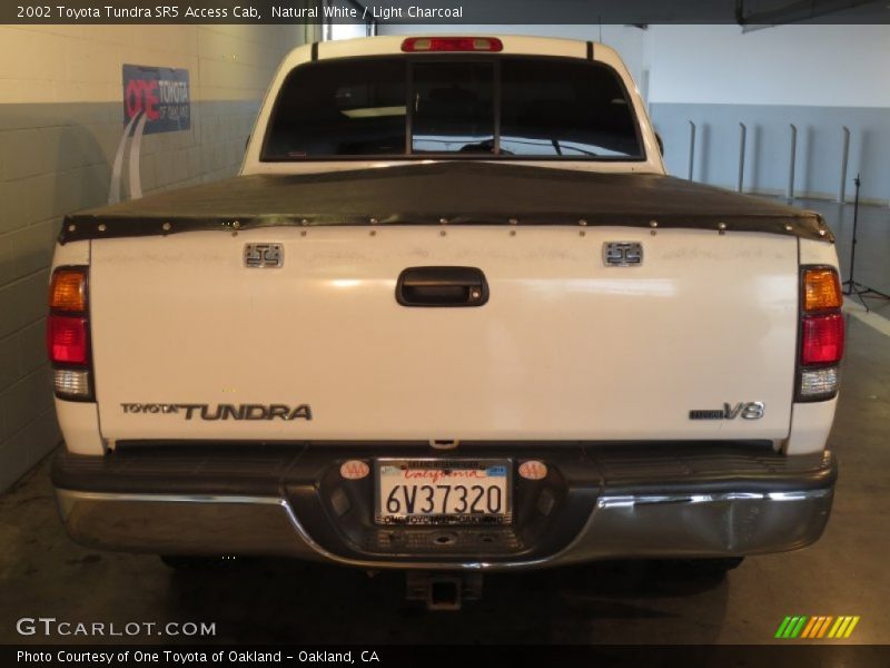 Natural White / Light Charcoal 2002 Toyota Tundra SR5 Access Cab