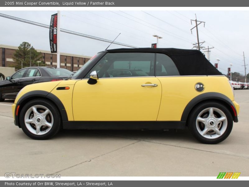 Liquid Yellow / Panther Black 2005 Mini Cooper Convertible