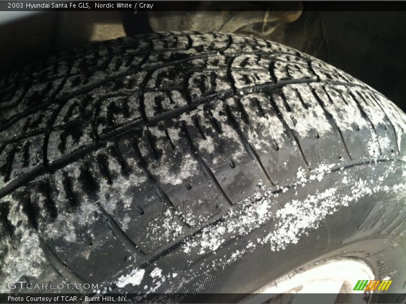 Nordic White / Gray 2003 Hyundai Santa Fe GLS