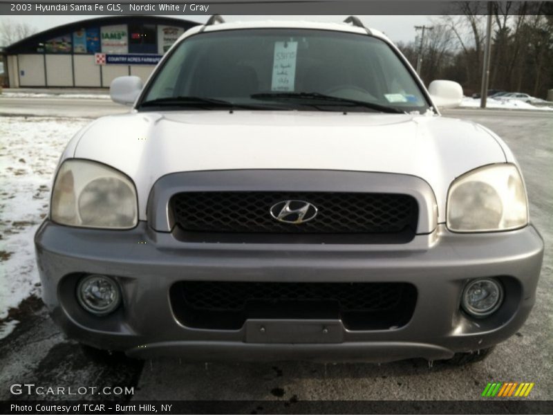 Nordic White / Gray 2003 Hyundai Santa Fe GLS