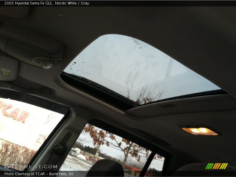 Nordic White / Gray 2003 Hyundai Santa Fe GLS