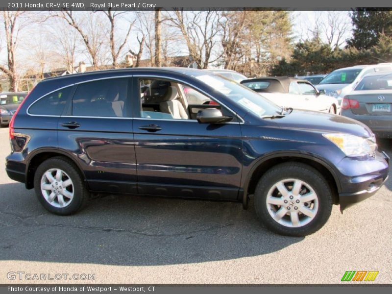 Royal Blue Pearl / Gray 2011 Honda CR-V SE 4WD