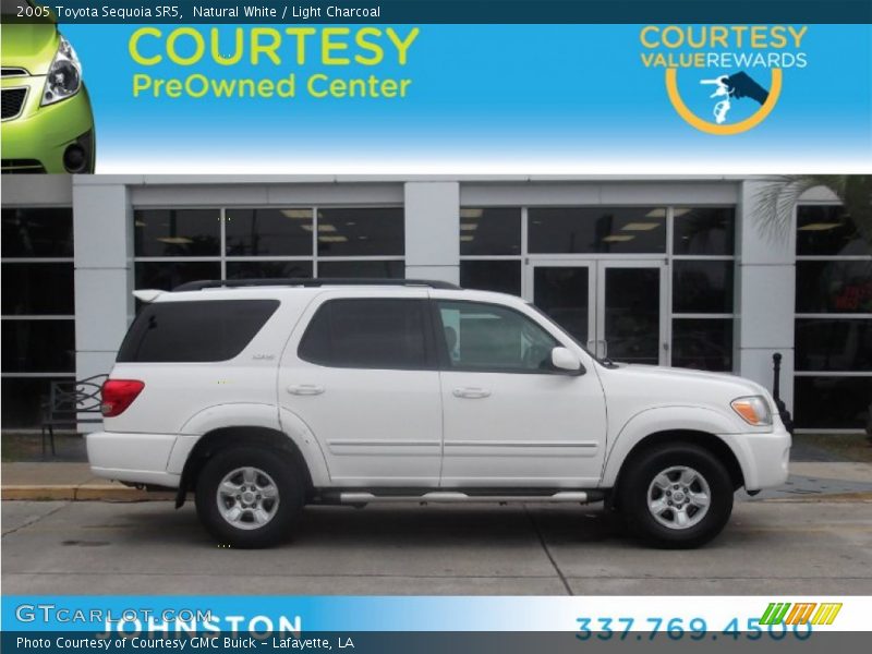 Natural White / Light Charcoal 2005 Toyota Sequoia SR5