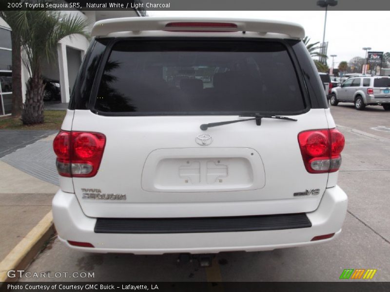 Natural White / Light Charcoal 2005 Toyota Sequoia SR5