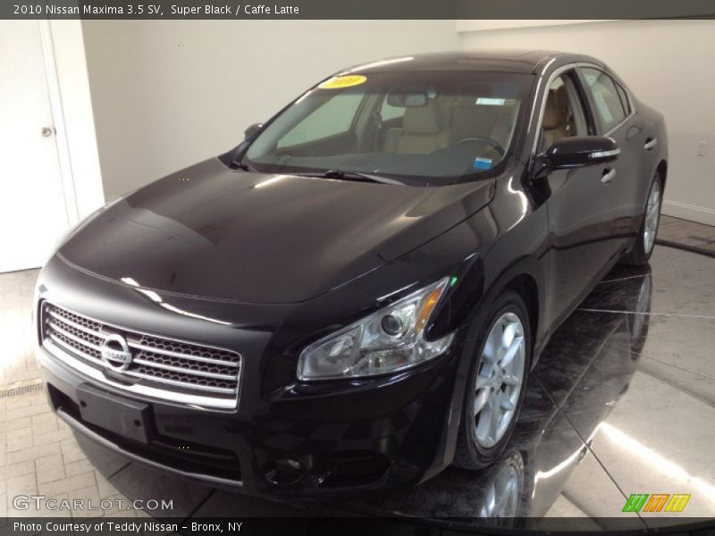Super Black / Caffe Latte 2010 Nissan Maxima 3.5 SV