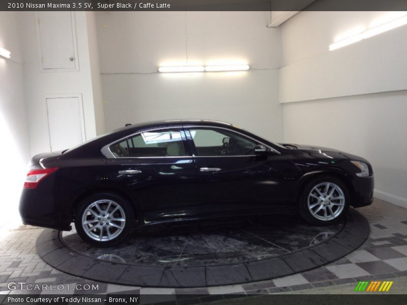 Super Black / Caffe Latte 2010 Nissan Maxima 3.5 SV