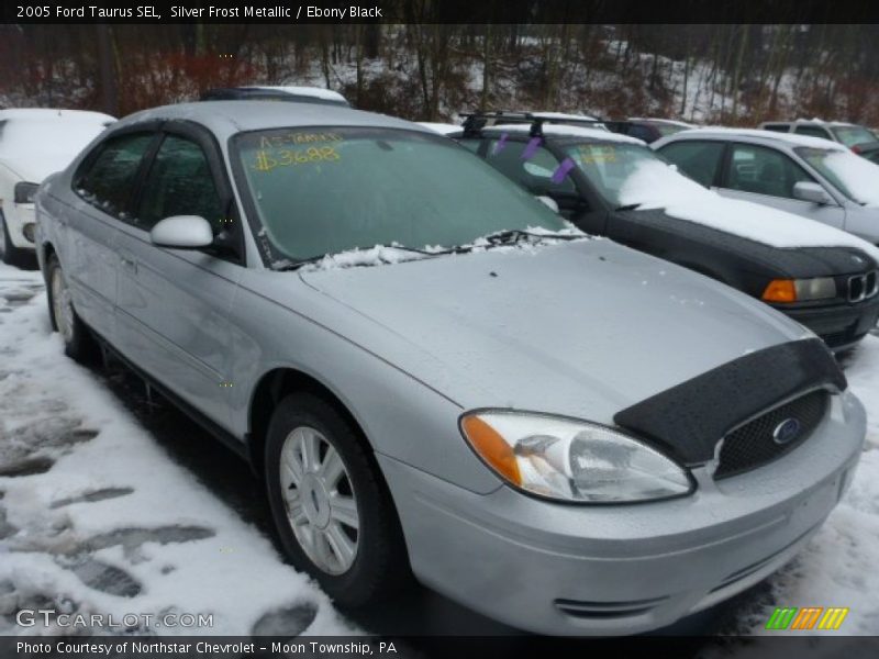 Silver Frost Metallic / Ebony Black 2005 Ford Taurus SEL