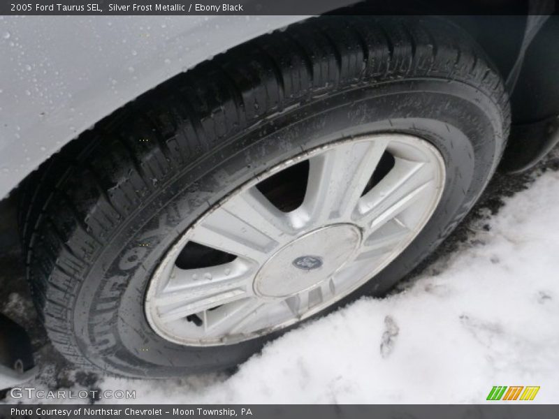 Silver Frost Metallic / Ebony Black 2005 Ford Taurus SEL
