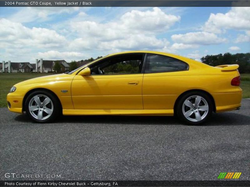 Yellow Jacket / Black 2004 Pontiac GTO Coupe