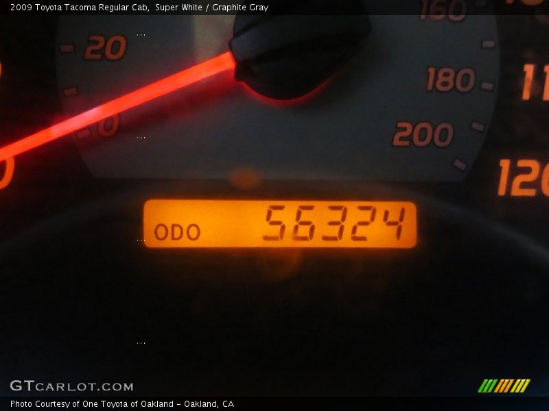 Super White / Graphite Gray 2009 Toyota Tacoma Regular Cab