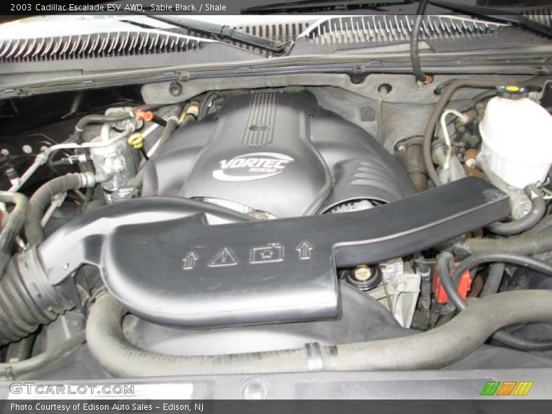 Sable Black / Shale 2003 Cadillac Escalade ESV AWD