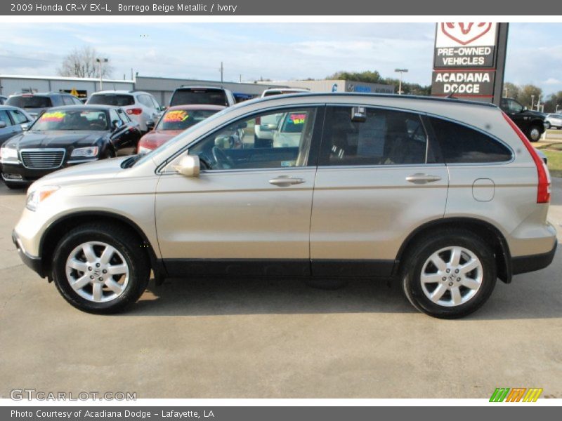 Borrego Beige Metallic / Ivory 2009 Honda CR-V EX-L