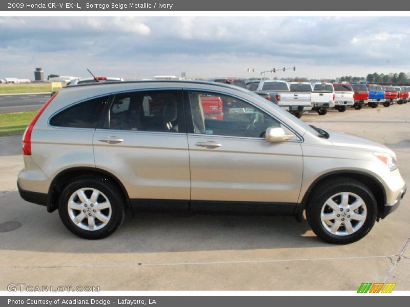 Borrego Beige Metallic / Ivory 2009 Honda CR-V EX-L