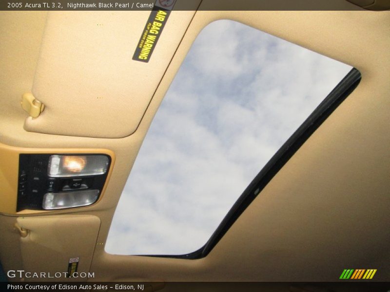 Nighthawk Black Pearl / Camel 2005 Acura TL 3.2