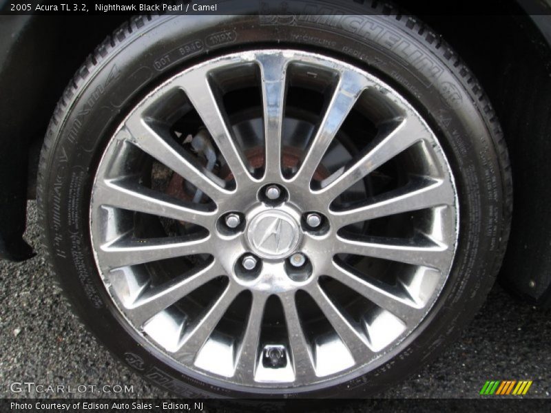 Nighthawk Black Pearl / Camel 2005 Acura TL 3.2