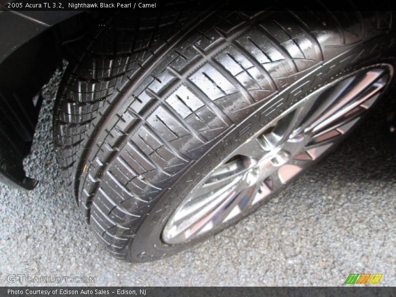 Nighthawk Black Pearl / Camel 2005 Acura TL 3.2