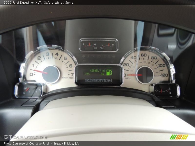  2009 Expedition XLT XLT Gauges