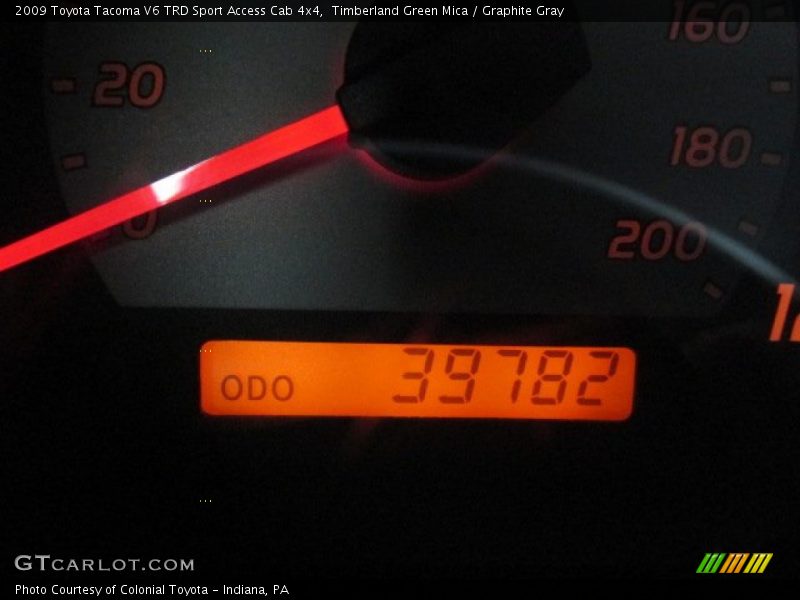 Timberland Green Mica / Graphite Gray 2009 Toyota Tacoma V6 TRD Sport Access Cab 4x4