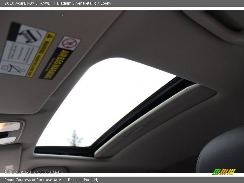 Palladium Silver Metallic / Ebony 2010 Acura RDX SH-AWD