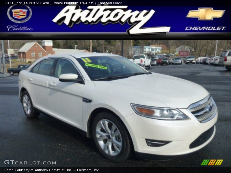 White Platinum Tri-Coat / Charcoal Black 2011 Ford Taurus SEL AWD