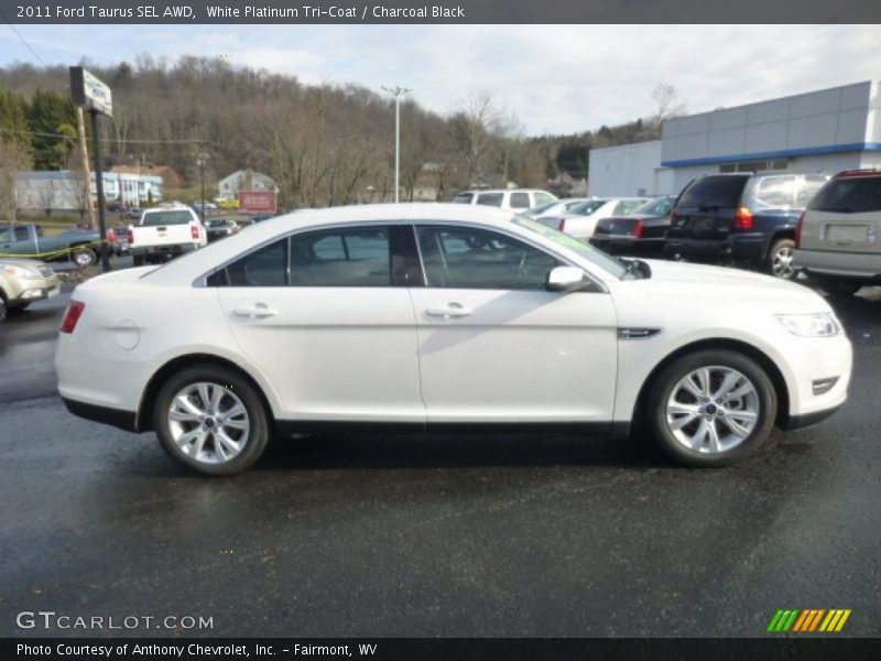 White Platinum Tri-Coat / Charcoal Black 2011 Ford Taurus SEL AWD