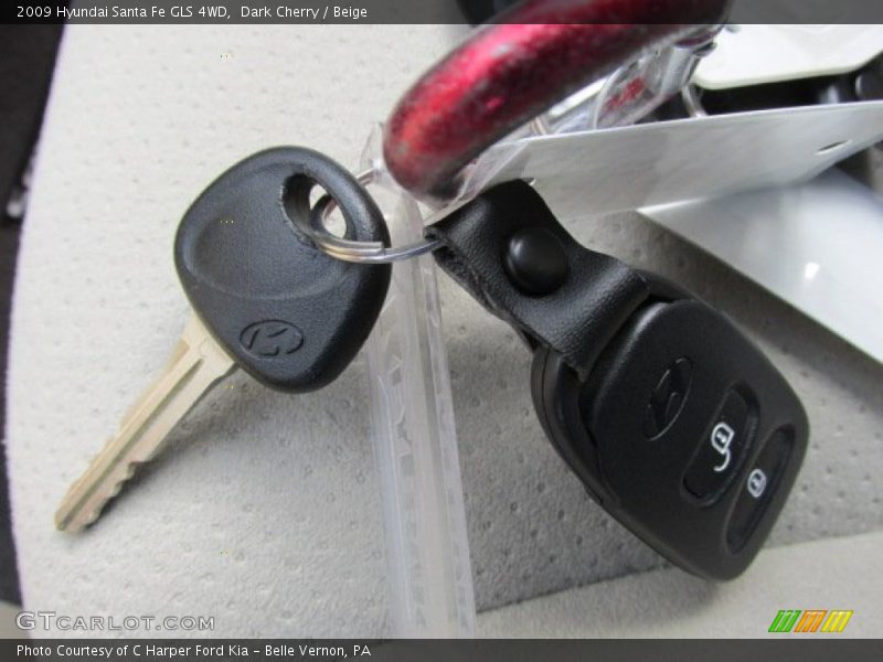 Dark Cherry / Beige 2009 Hyundai Santa Fe GLS 4WD