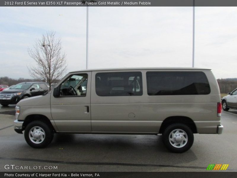 Pueblo Gold Metallic / Medium Pebble 2012 Ford E Series Van E350 XLT Passenger