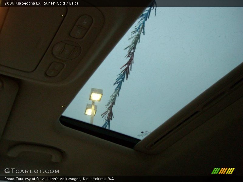 Sunset Gold / Beige 2006 Kia Sedona EX