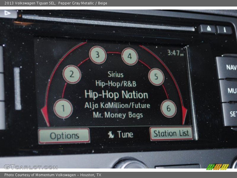 Pepper Gray Metallic / Beige 2013 Volkswagen Tiguan SEL