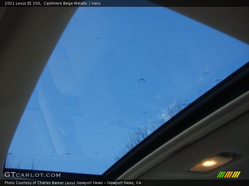 Cashmere Beige Metallic / Ivory 2001 Lexus ES 300