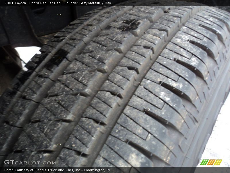 Thunder Gray Metallic / Oak 2001 Toyota Tundra Regular Cab