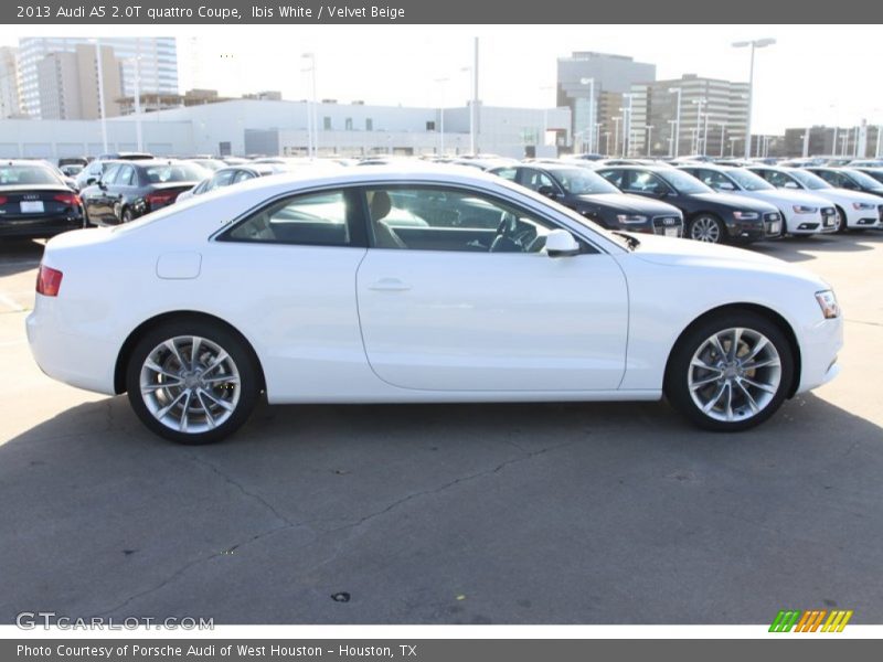 Ibis White / Velvet Beige 2013 Audi A5 2.0T quattro Coupe