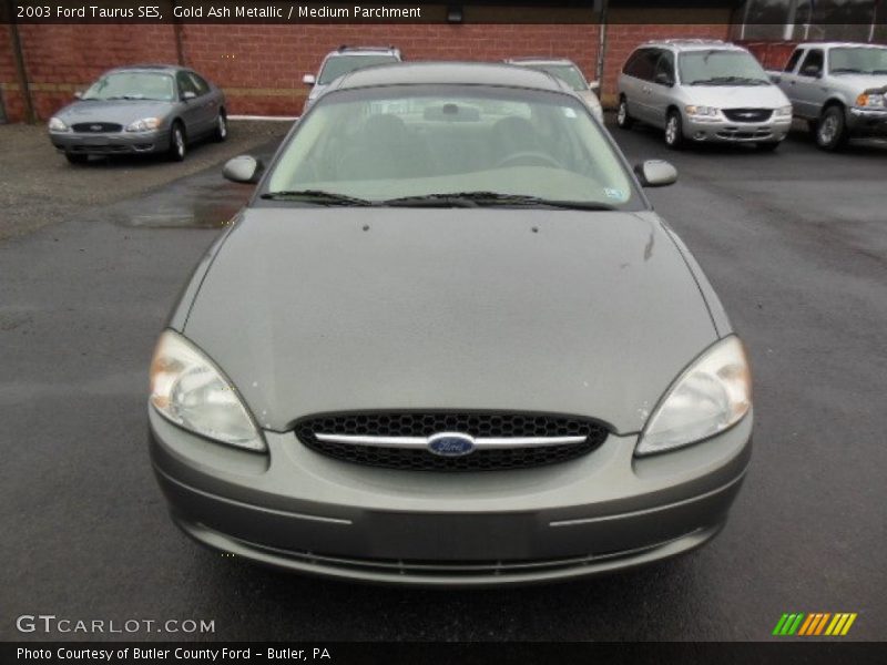 Gold Ash Metallic / Medium Parchment 2003 Ford Taurus SES