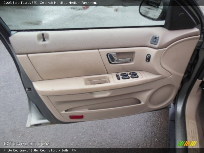 Door Panel of 2003 Taurus SES