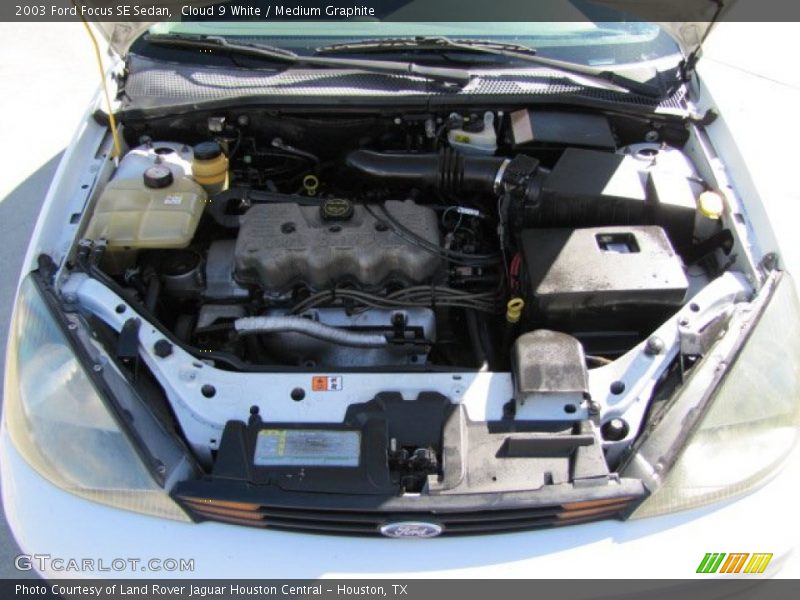 Cloud 9 White / Medium Graphite 2003 Ford Focus SE Sedan