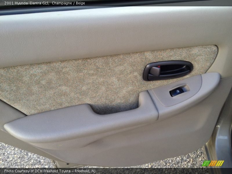 Door Panel of 2001 Elantra GLS