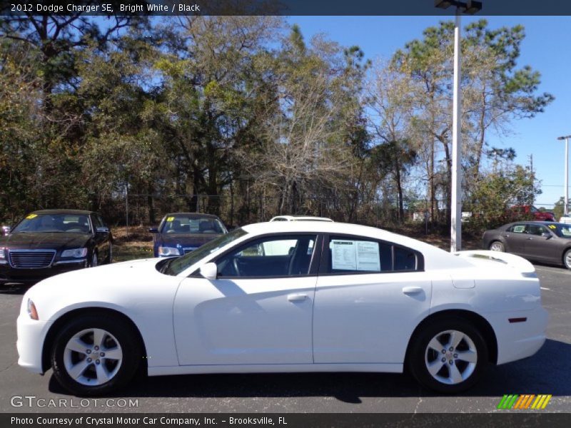 Bright White / Black 2012 Dodge Charger SE