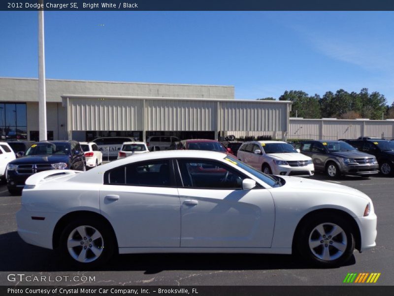 Bright White / Black 2012 Dodge Charger SE