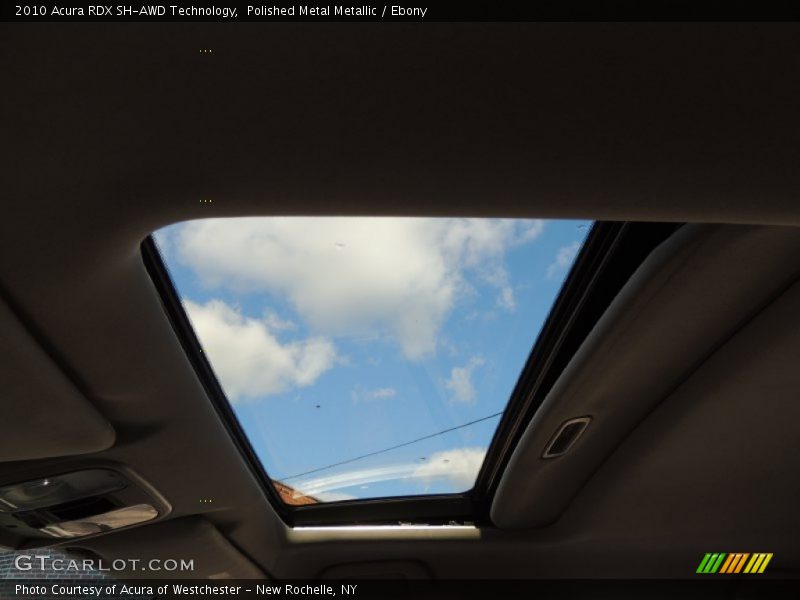 Polished Metal Metallic / Ebony 2010 Acura RDX SH-AWD Technology