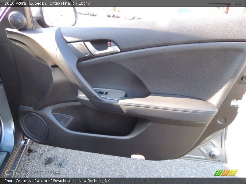 Grigio Metallic / Ebony 2010 Acura TSX Sedan