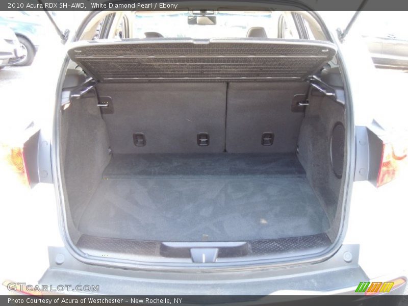 White Diamond Pearl / Ebony 2010 Acura RDX SH-AWD