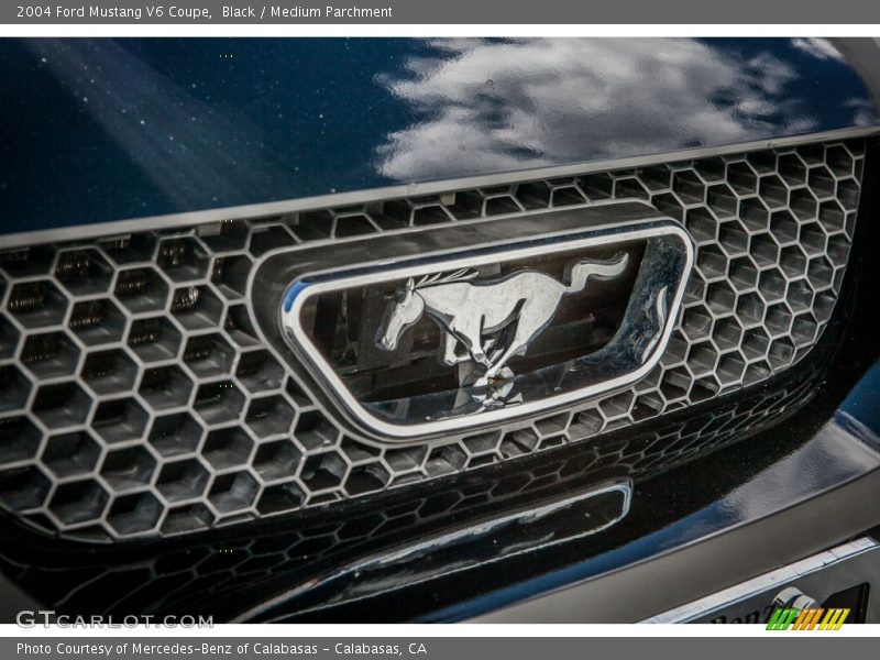 Black / Medium Parchment 2004 Ford Mustang V6 Coupe
