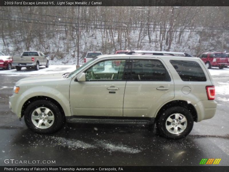 Light Sage Metallic / Camel 2009 Ford Escape Limited V6