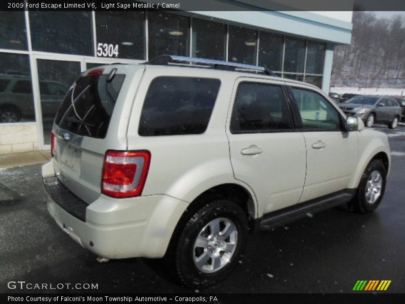 Light Sage Metallic / Camel 2009 Ford Escape Limited V6