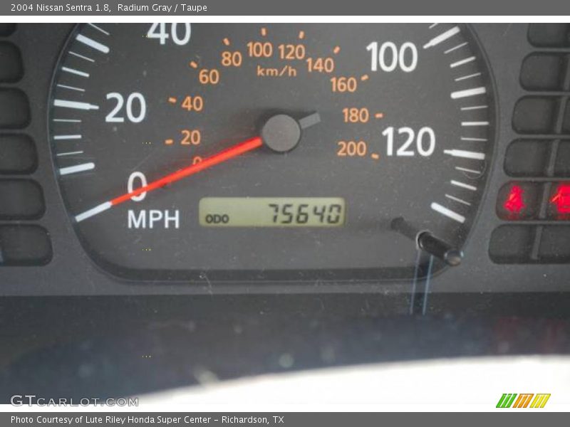 Radium Gray / Taupe 2004 Nissan Sentra 1.8