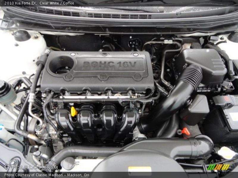 Clear White / Coffee 2010 Kia Forte EX