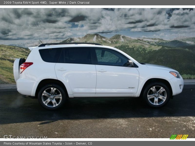 Super White / Dark Charcoal 2009 Toyota RAV4 Sport 4WD